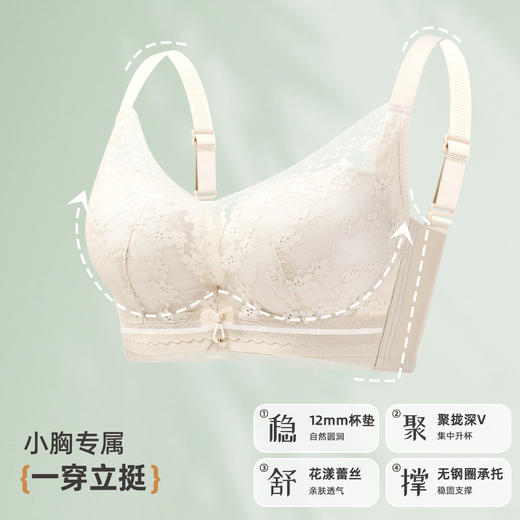 雅黛俪小胸聚拢女士文胸性感蕾丝提拉收副乳内衣胸罩 商品图3