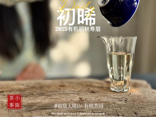 【新品】带着鲜艳明媚花香的2025有机秋寿眉《初晞》，甜味与花香在口腔里荡漾，如月下桂花一般，鲜美，清丽，甜馥（1斤收藏装） 商品图9