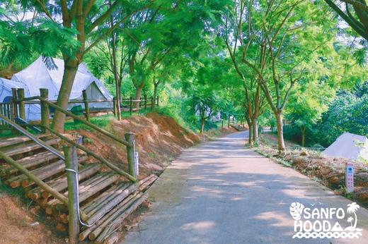 首发福利！人均50+吃住玩一天~，森林里的秘密营地：“植物与行星•微度假营地”2周年庆 / 多套餐任选 / 🧧独家赠送家庭菜园耕种权益 商品图6