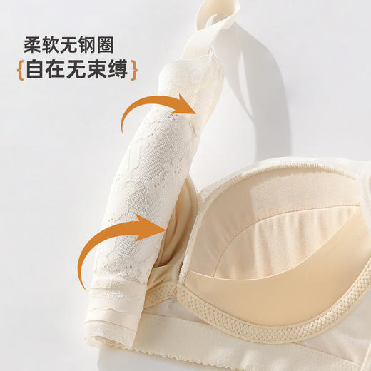 雅黛俪小胸聚拢女士文胸性感蕾丝提拉收副乳内衣胸罩 商品图6