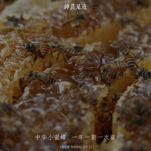 合作产品/   蜂蜜 (百花蜜/崖蜜）包邮 商品图5