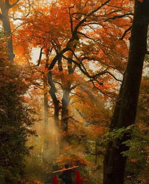 WeCycle大宁 11/17-11/19 温州文成小布骑行 商品图2