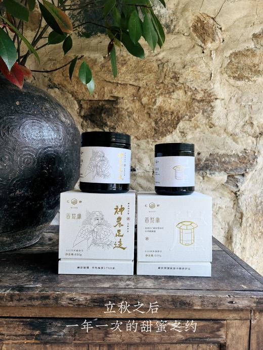 合作产品/   蜂蜜 (百花蜜/崖蜜）包邮 商品图7