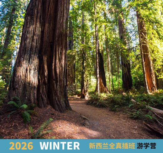 2026冬季-新西兰全真插班游学营，12天 商品图5