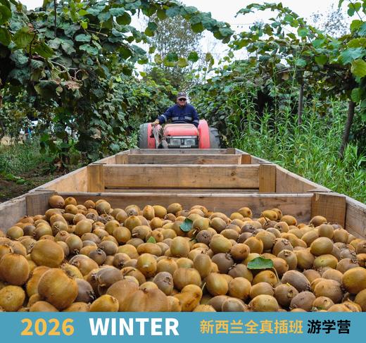 2026冬季-新西兰全真插班游学营，12天 商品图9