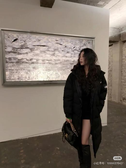 北面情侣款户外刺绣袖标过膝长款羽绒服 商品图5