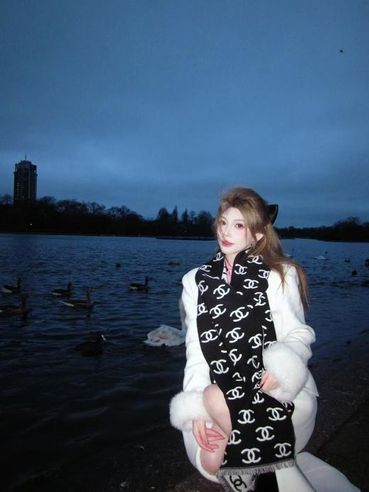 香奈儿 专柜的断货王  经典双面围巾披肩（DSX） 商品图2