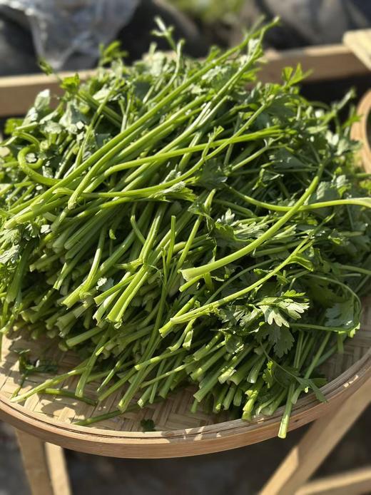 【任选5盒135】【3盒包邮】【预售3-7天 现包现发生态手工水饺】【4份送发酵酸豆角】面皮顺滑劲道，无添加自然调味，匠心手工包制，只为安全好吃和营养，20克x15个/盒饺子 商品图10