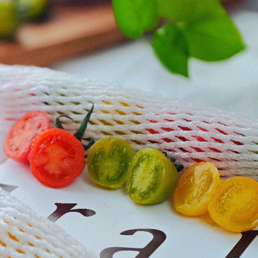 维C小战士||会爆浆的三色小番茄 绿色天然 清甜爽口 果香浓郁 新鲜现摘  商品图10