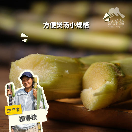 生态甘蔗（煲汤小规格） | 绿家自产*Eco-Sugarcane | Self-production 商品图0