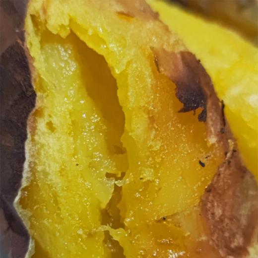 菜头商城 倮倮蜜薯 一级中大果 商品图6