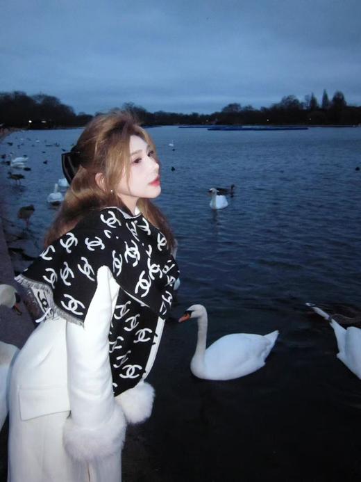 香奈儿 专柜的断货王  经典双面围巾披肩（DSX） 商品图3