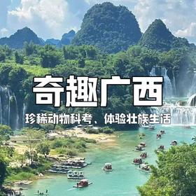 【寒假亲子营】谁能想到广西这么野？追鲸、寻猴、攀喀斯特、闯雨林，让孩子忘不掉的自然奇遇！