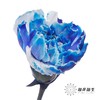 单头康乃馨 | 吸色克莱因蓝【国产吸色，可能染色不均匀 介意慎拍】 商品缩略图2