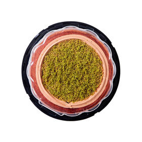 MM 山姆 Member's Mark 迪拜巧克力千层