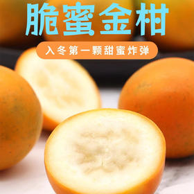 【广西脆蜜金桔】肉质嫩滑、蜜甜怡人，糖心果肉、肉色嫩黄、皮薄肉厚多汁