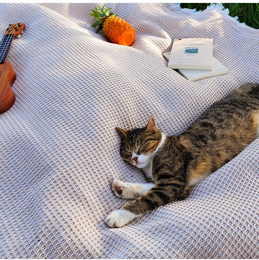 华夫格露营盖毯户外野餐垫亚麻布桌布露营盖毯氛围桌布野餐垫郊游汽车后备箱加厚野餐垫ins风简约风格野餐垫 商品图1