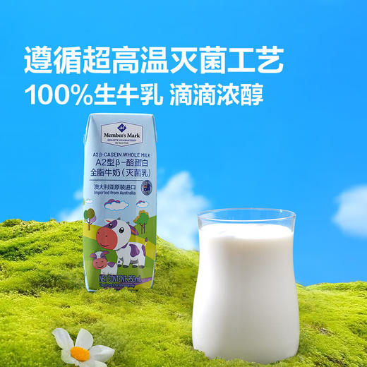 MM 山姆 Member's Mark A2型β-酪蛋白全脂牛奶（灭菌乳）250ml*24 商品图1