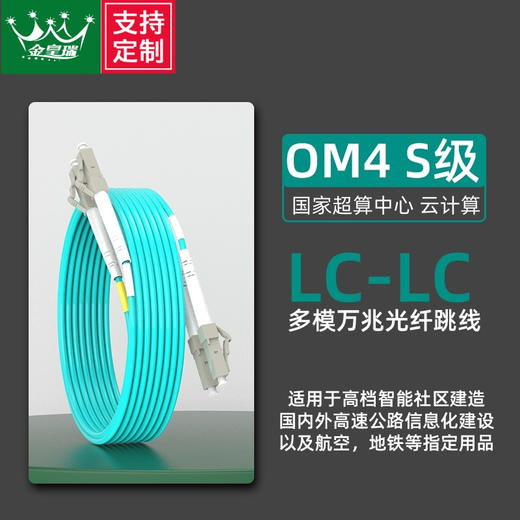 爆款★热销@万兆【OM3/OM4光纤跳线】电信级10G/25G/40G/100G LC-LC多模双芯光钎线3米5米10m20米两芯双工小方头机房局域网布线光缆网吧/电竞酒店防鼠万兆铠装光纤跳线 商品图3