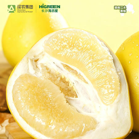 江永老树香柚 湖南省地理标志特色农产品 商品图3