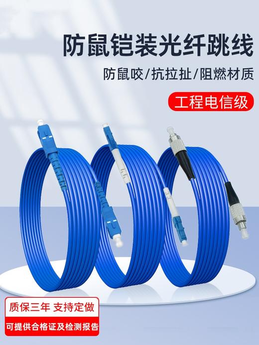 爆款★热销【单模@光纤跳线】万兆sc-sc光纤线电信级SC-SC转LC-LC-FC-ST跳纤单模单芯尾纤方转方转圆3米/5米10米/30M延长线 商品图6