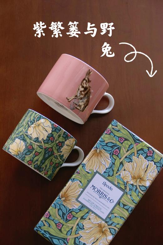 出口单 英国波特美林Portmeirion 2件马克杯礼盒装 商品图7