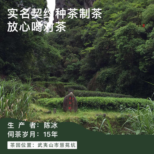 武夷岩茶慧苑名枞合集特级乌龙茶2025年慧苑坑正岩SGS627项农残检测 商品图3