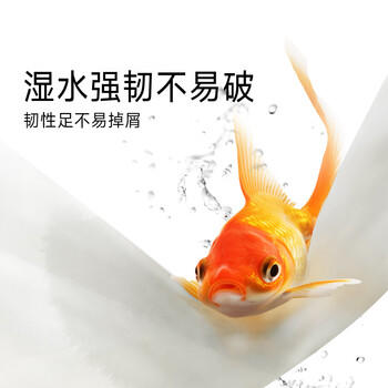 洁柔抽纸 加厚4层80抽*18包 艺术巴黎油画Face艺术家联名面巾纸 整箱 /家庭清洁/纸品 /清洁纸品 /抽纸 商品图2