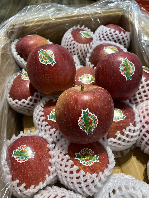 宏丰精选 大凉山野生苹果  口感甜脆 苹果味浓郁 活动价‼️‼️6.8元一斤 商品图2