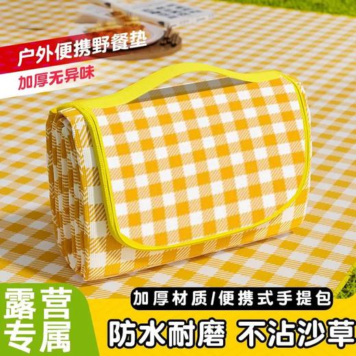 春游野炊沙滩露营野餐垫布艺加厚防水防潮地垫户外便携草坪野餐布 商品图0