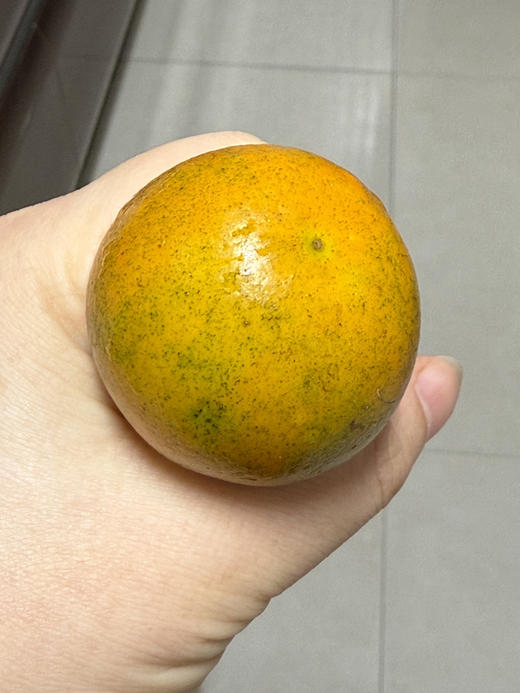 蜜蛋金柑  改良品种 当之无愧千里挑一 脆嫩多汁 皮软软肉甜甜 润嗓又刮油！ 商品图1