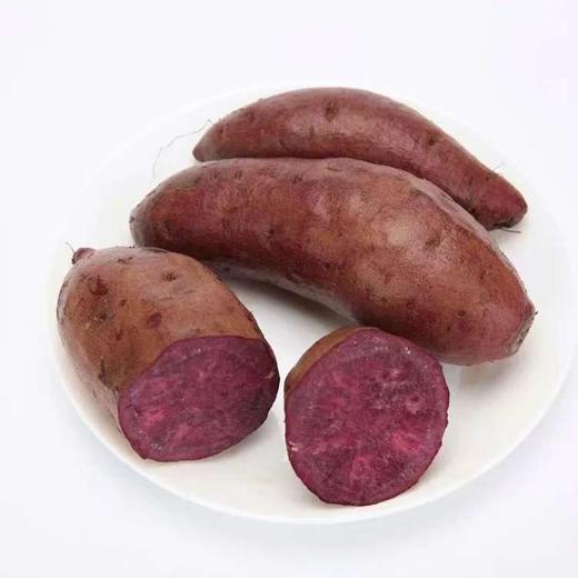 2025年金薯， 烤红薯必备，自然农法紫薯、板栗香薯 || 今年遇极端气候个头偏小，介意者慎拍！永继农场 商品图4