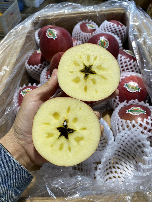 宏丰精选 大凉山野生苹果  口感甜脆 苹果味浓郁 活动价‼️‼️6.8元一斤 商品图3