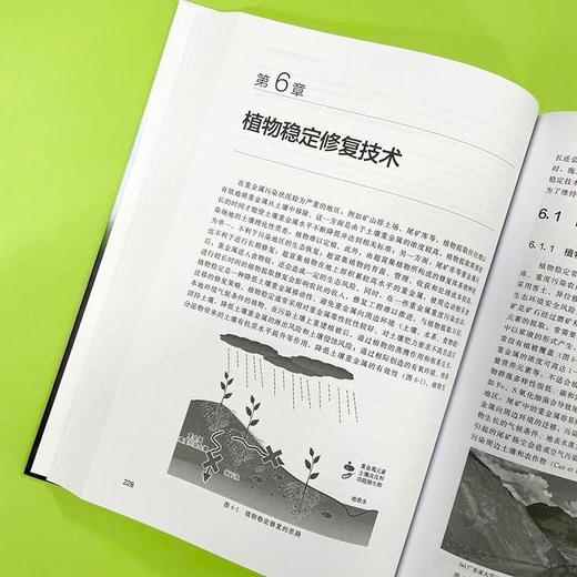 土壤重金属污染植物修复 商品图4