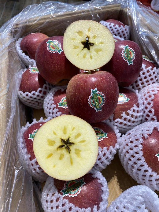 宏丰精选 大凉山野生苹果  口感甜脆 苹果味浓郁 活动价‼️‼️6.8元一斤 商品图4