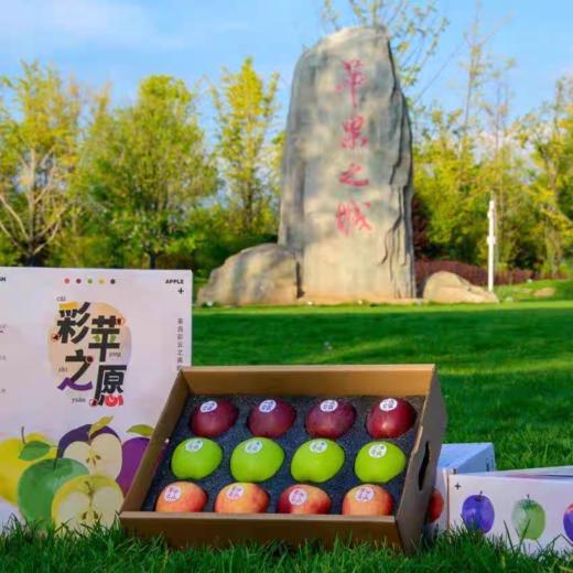 云南昭通三色苹果礼盒装当季新鲜水果送礼礼品顺丰营养丰富口感好 商品图1