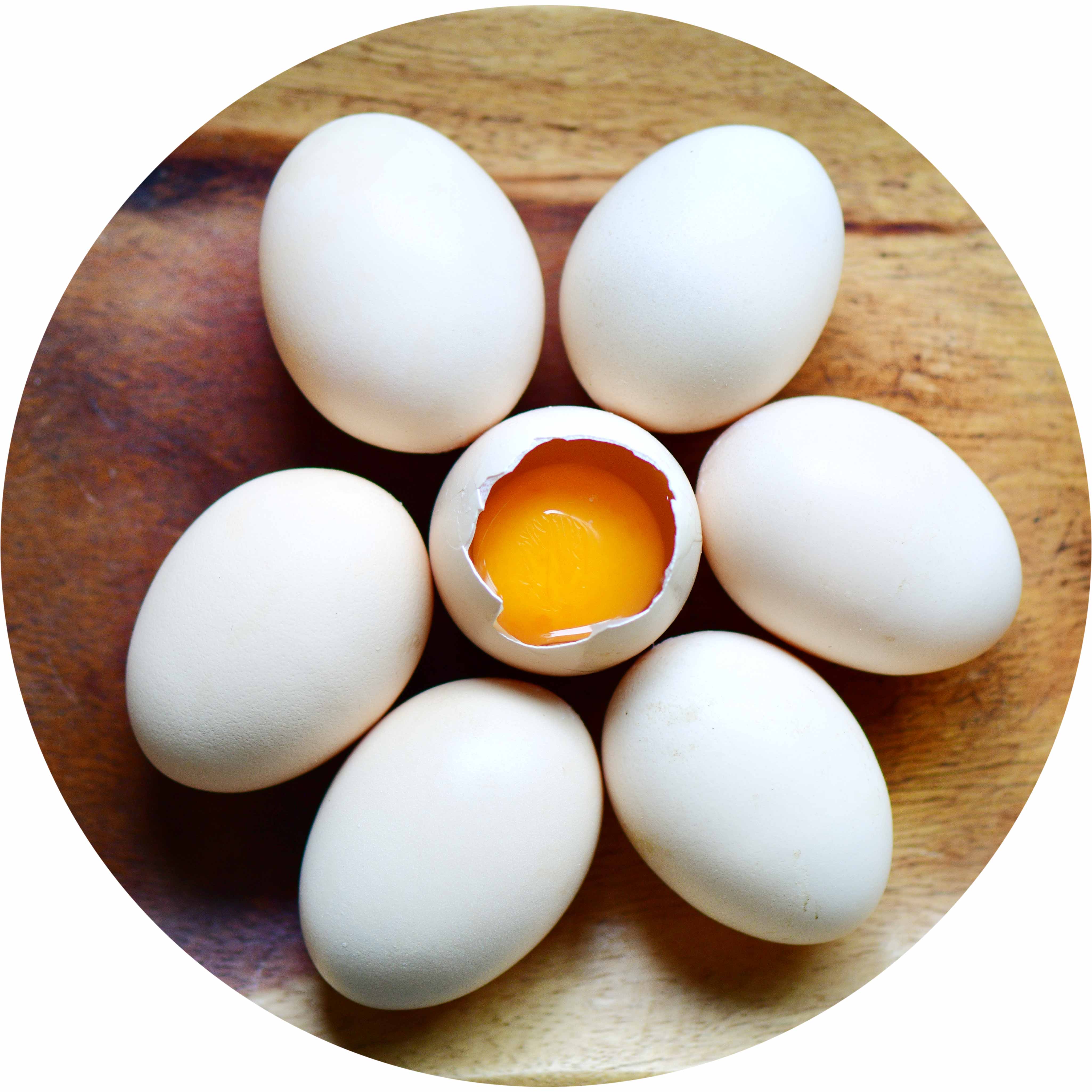 有机鸡蛋 林下散养鸡