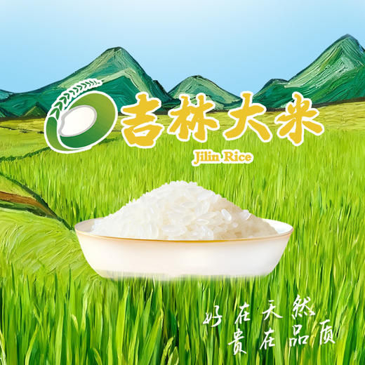 MM 山姆 福临门 雪原黑土贡米长粒香5kg*2（10kg） 商品图1
