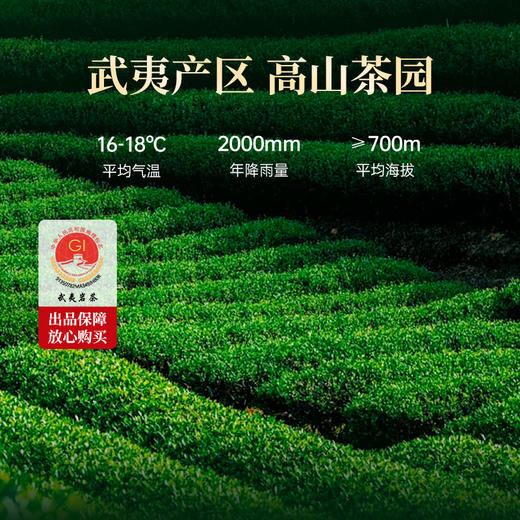 华祥苑 星时光 特级 果香肉桂 武夷岩茶 双福至 茶叶 礼盒 商品图4