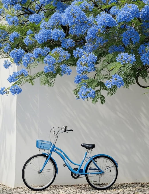 显白北欧蓝💙加绒立体字母植绒刺绣套头卫衣 商品图5