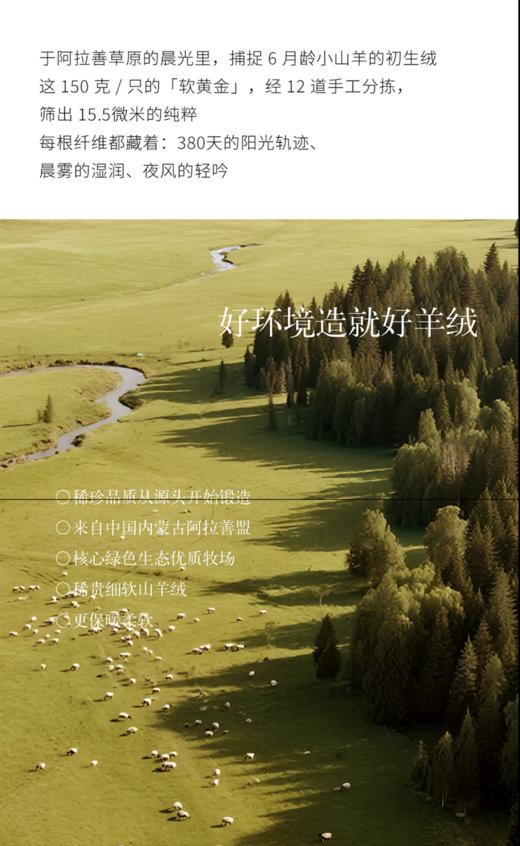 逸红颜明月优选#『100%软黄金山V领羊绒毛衣』-[630/1件,1200/2件] 『云绒』贴身穿的云朵修身款,6 月龄小山羊绒细腻软糯 商品图2