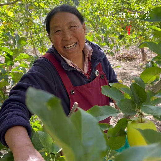 小金吴大姐生态红苹果（基地直发-邮政平邮） | 多种规格，来自四川小金，生产者：吴明清【合作生产·公平贸易】 商品图11
