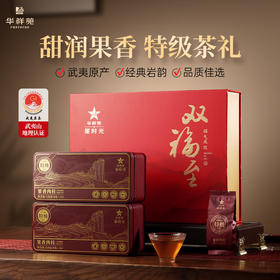 华祥苑 星时光 特级 果香肉桂 武夷岩茶 双福至 茶叶 礼盒