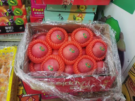 烟台 栖霞富士苹果【整件】 商品图0