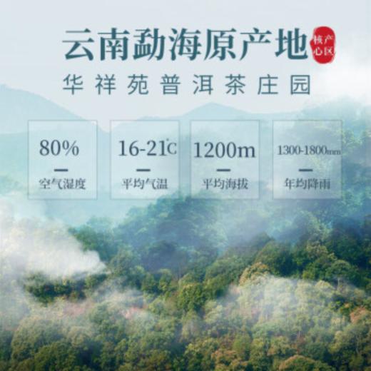 华祥苑 普洱熟茶 小金砖 3年陈普洱茶 茶叶 礼盒 300g 商品图5