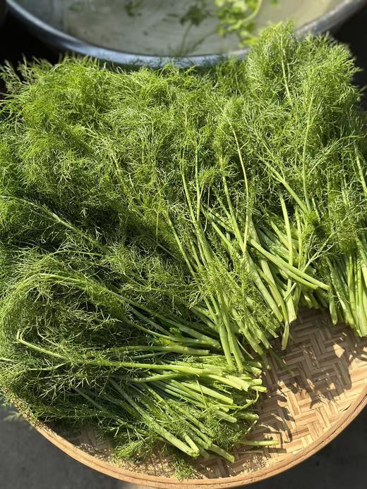 【任选5盒135】【3盒包邮】【预售3-7天 现包现发生态手工水饺】【4份送发酵酸豆角】面皮顺滑劲道，无添加自然调味，匠心手工包制，只为安全好吃和营养，20克x15个/盒饺子 商品图11