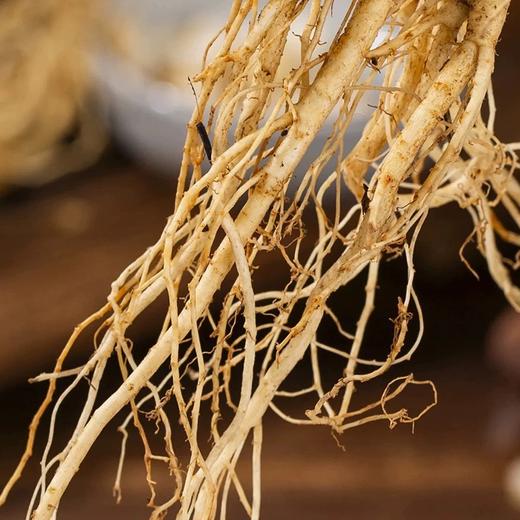 长白山鲜人参【29元10根】丨甄选足龄人参 袋装保鲜参煲汤泡酒 商品图3