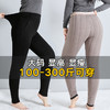 丁摩 超厚羊毛保暖打底裤女大码200斤胖妹妹加绒加厚外穿高腰收腹棉裤5ZF-68 商品缩略图2