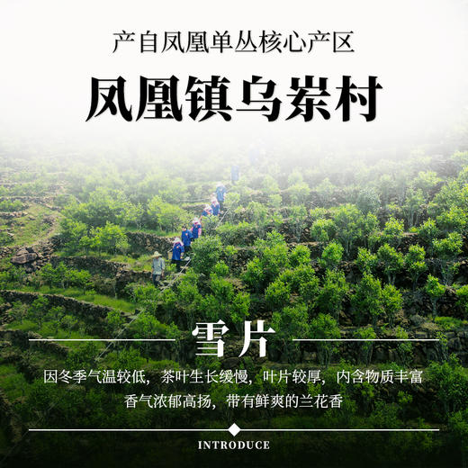 【南上荣】雪片（蝴蝶罐）125g 商品图1