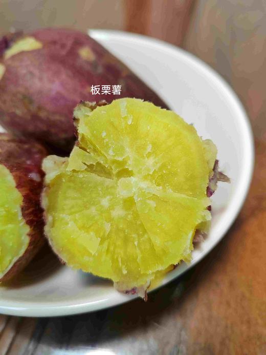 板栗薯 商品图0